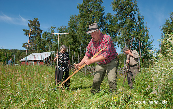 Vinndag på Dølmotunet